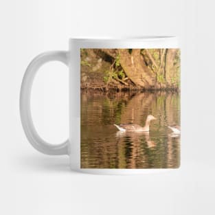 Greylag geese, Isle of Mull Mug